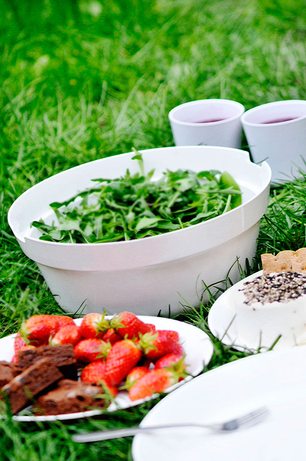 Picnic Carina Ahlburg Design Picnic Carina Ahlburg Design